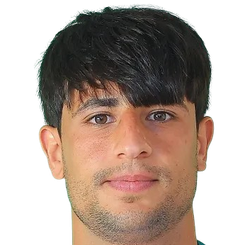 莫哈纳德·阿里